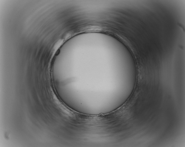 X0000103421475200809261655