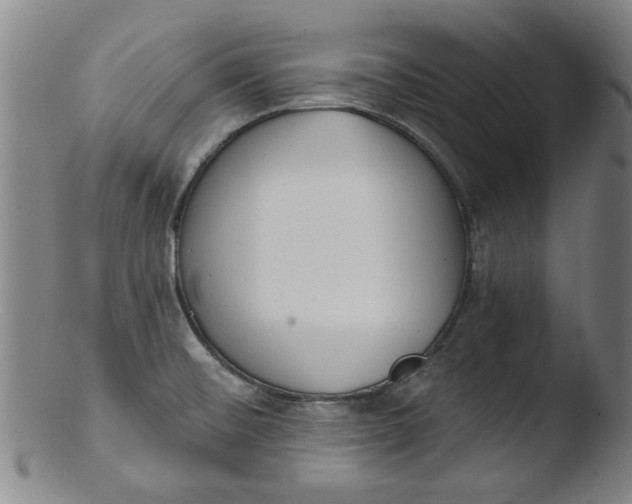 X0000103421476200809261655