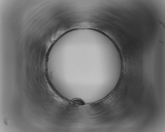 X0000103421477200809261655