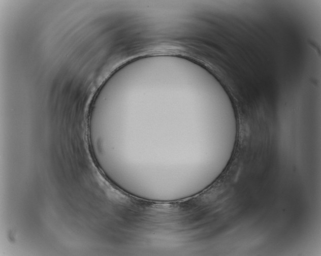 X0000103421478200809261655