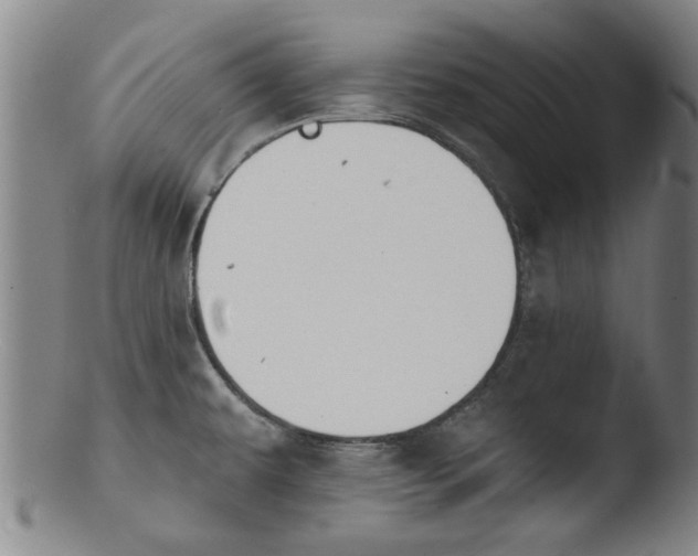 X0000103421479200809261655