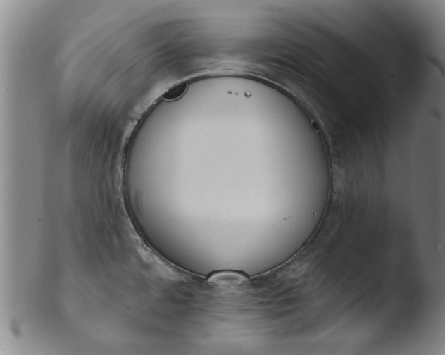 X0000103421480200809261655