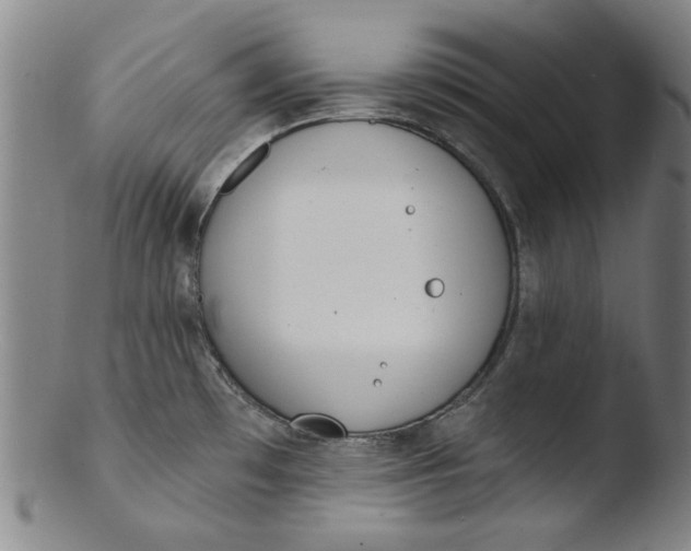 X0000103421481200809261655