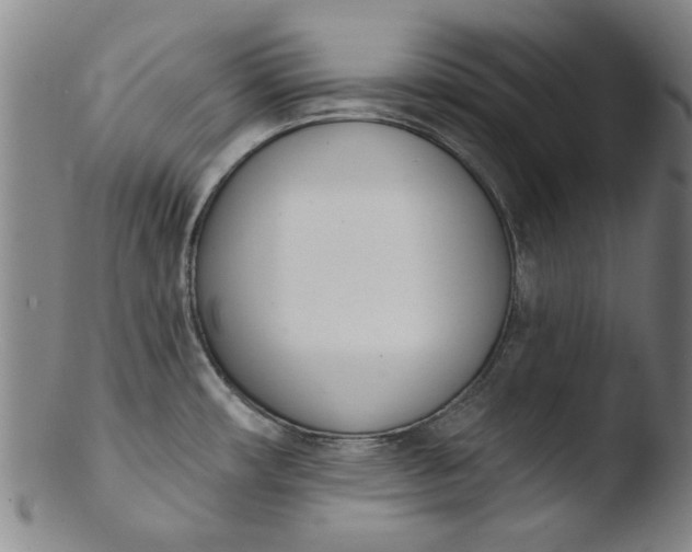 X0000103421482200809261655