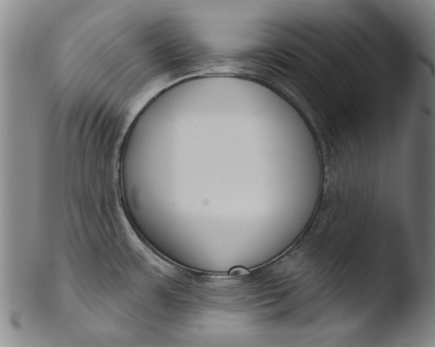 X0000103421483200809261655