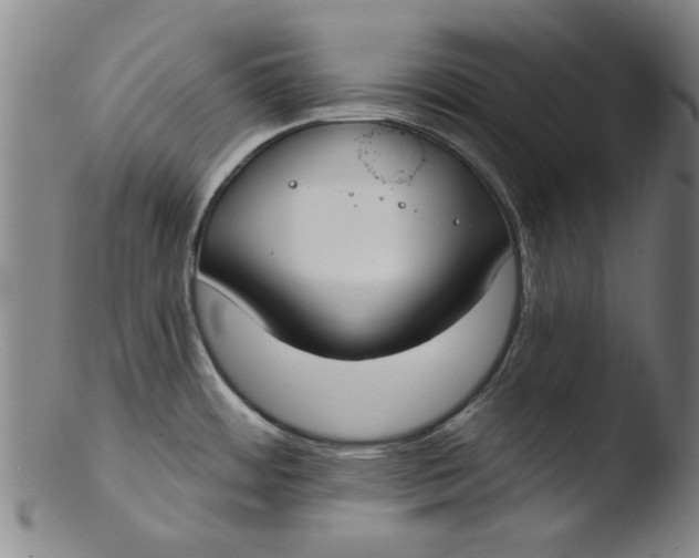 X0000103421484200809261655