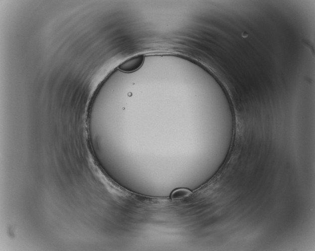 X0000103421485200809261655