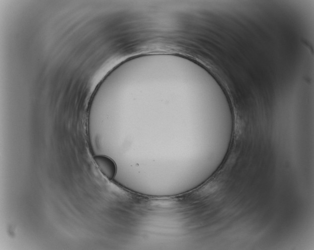 X0000103421486200809261655