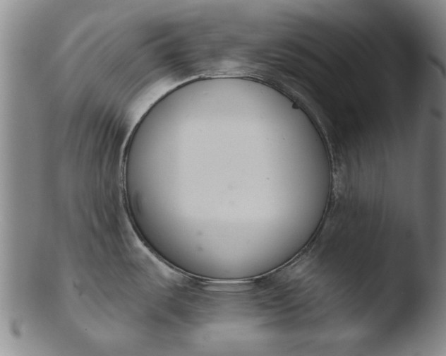 X0000103421487200809261655