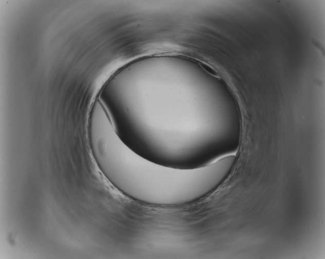 X0000103421488200809261655