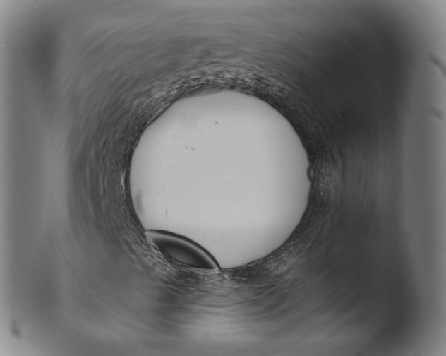 X0000103421489200809261654