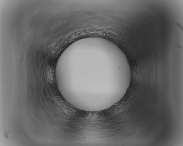 X0000103421490200809261654
