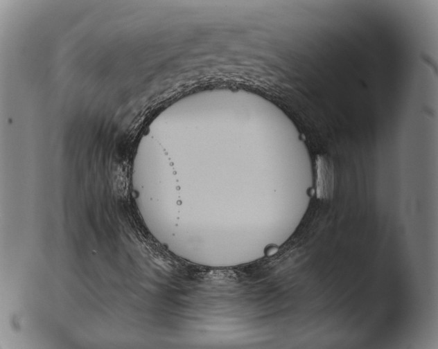 X0000103421491200809261655