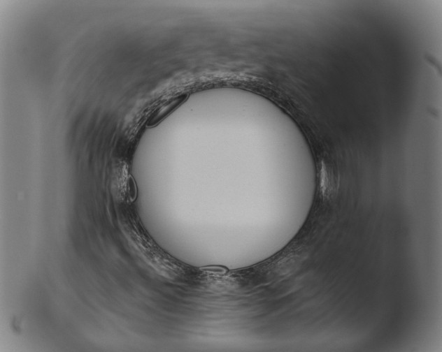 X0000103421492200809261655