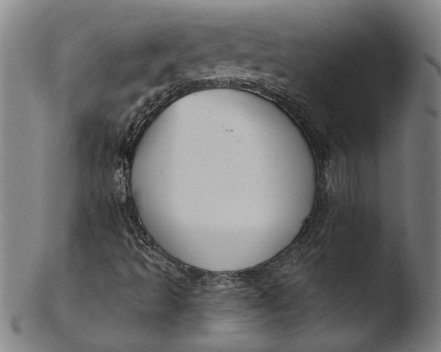 X0000103421493200809261655
