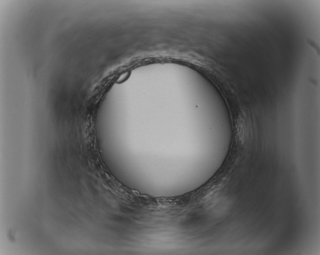 X0000103421494200809261655