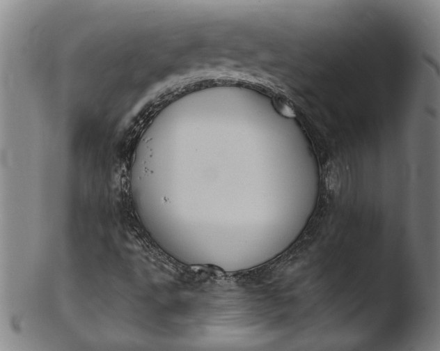 X0000103421495200809261655