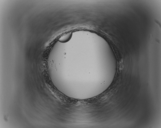 X0000103421496200809261655