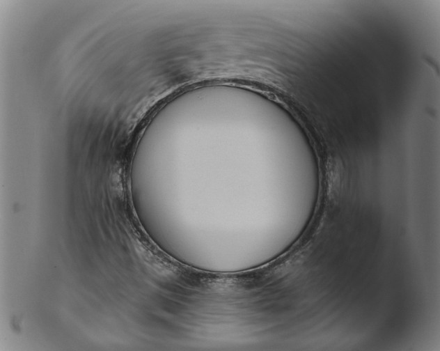 X0000103421497200809261655