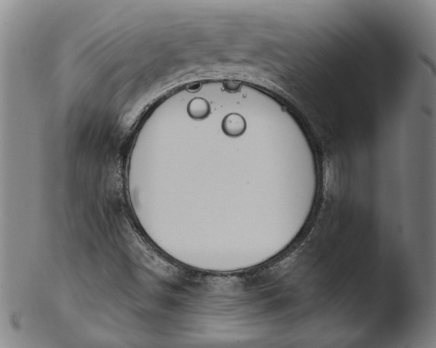 X0000103421498200809261655