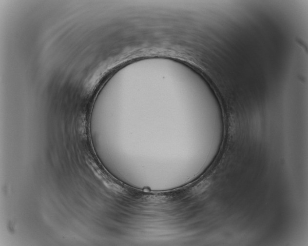 X0000103421499200809261655