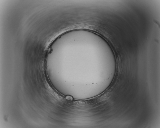 X0000103421500200809261655