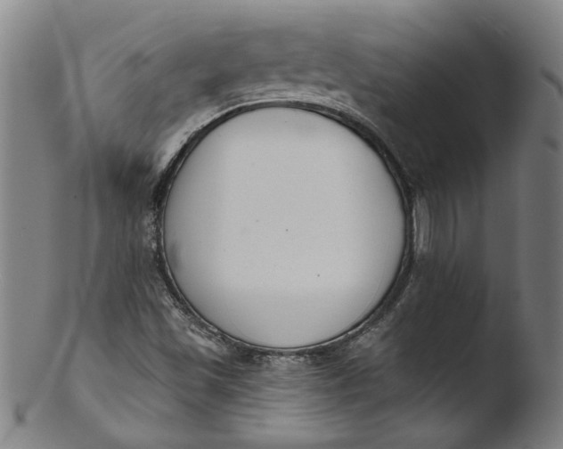 X0000103421501200809261655