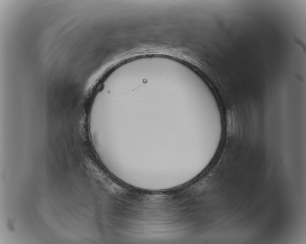 X0000103421502200809261655