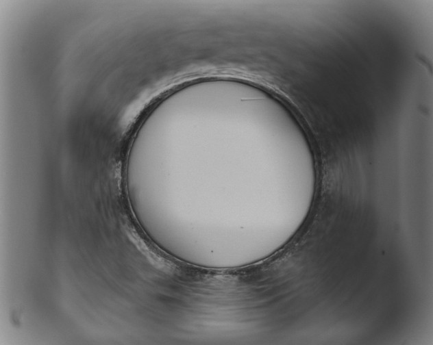 X0000103421503200809261655