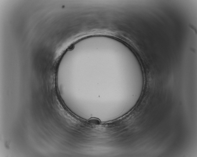 X0000103421504200809261655