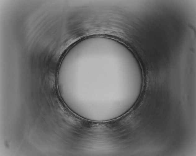 X0000103421505200809261655