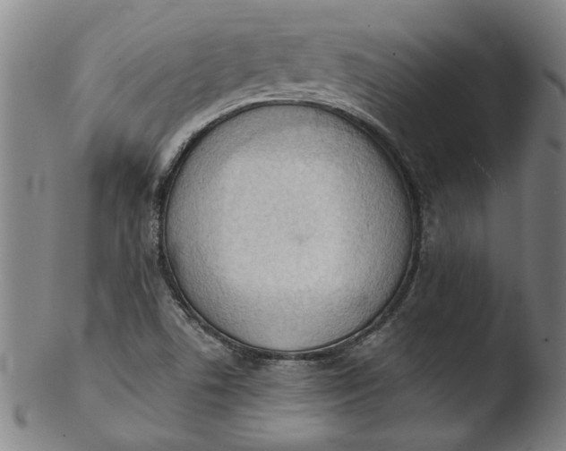 X0000103421506200809261655