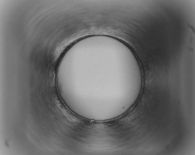 X0000103421507200809261655
