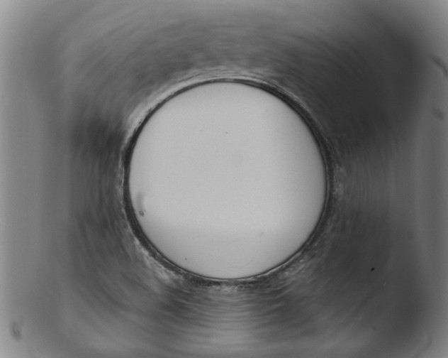 X0000103421508200809261655
