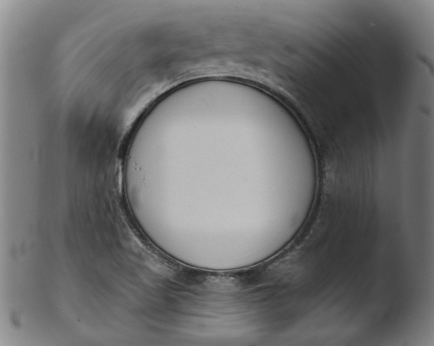 X0000103421509200809261655