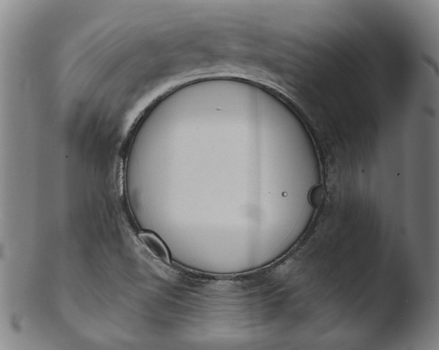 X0000103421510200809261655