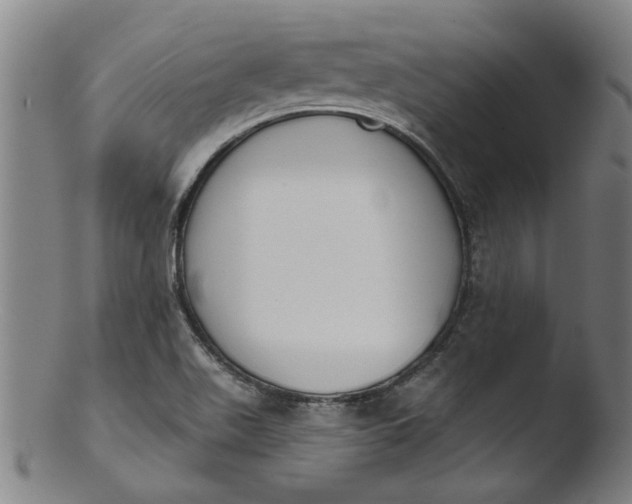 X0000103421511200809261655