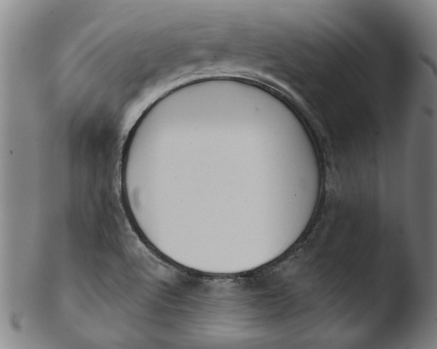 X0000103421512200809261655