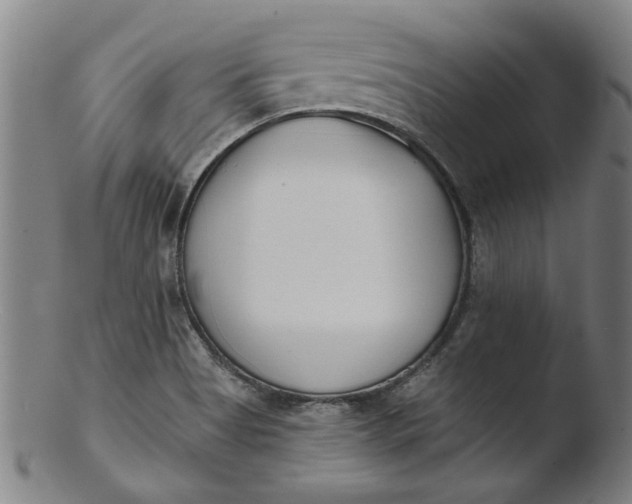 X0000103421513200809261655