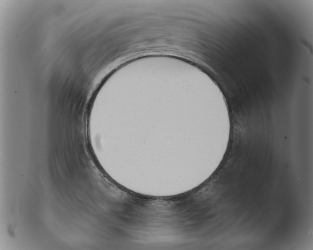 X0000103421514200809261655