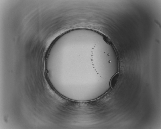 X0000103421515200809261655