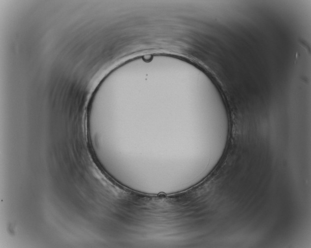 X0000103421516200809261655