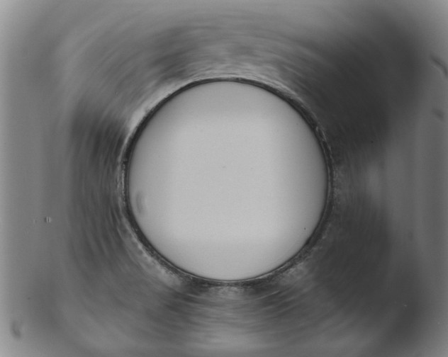 X0000103421517200809261655