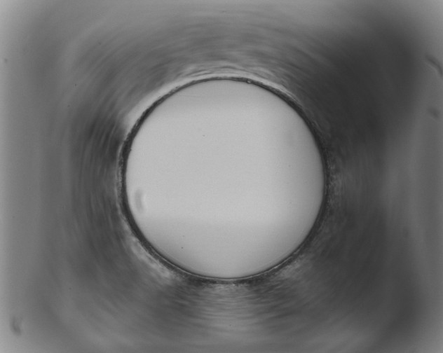 X0000103421518200809261655