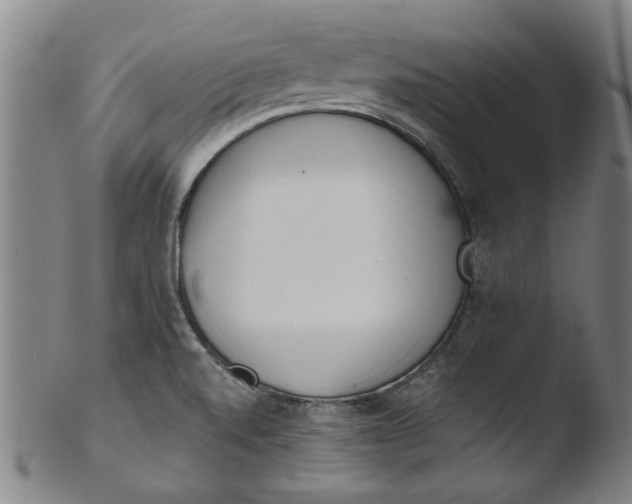 X0000103421520200809261655