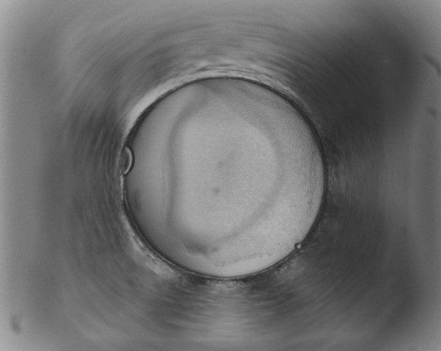 X0000103421522200809261655
