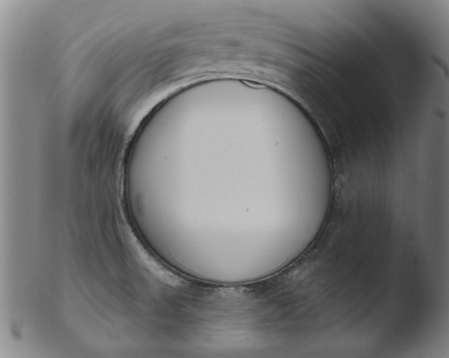 X0000103421523200809261655