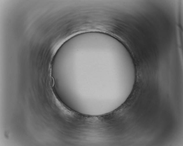 X0000103421524200809261655
