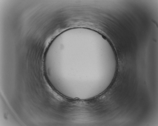 X0000103421525200809261655