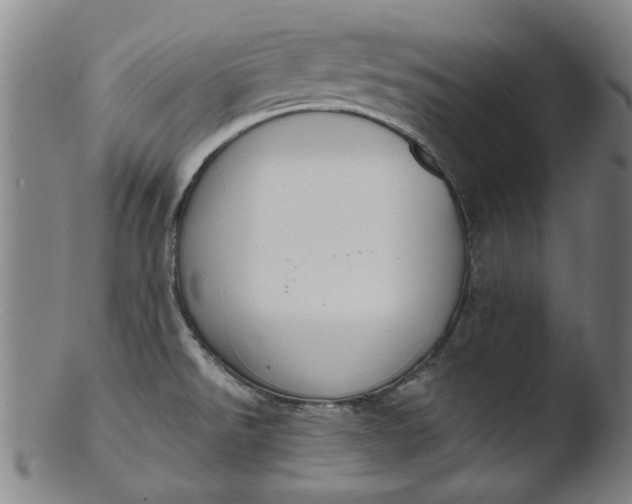 X0000103421526200809261655
